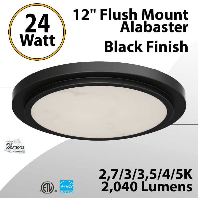 Flush Mount Alabaster 12" LED Ceiling Light, Black Finish 24W 2040Lm 5CCT