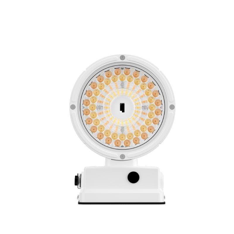 LED Wall Mount Cylinder Light 38/31/19W 3CCT 5500Lm Photocell White Finish thumbnail 3