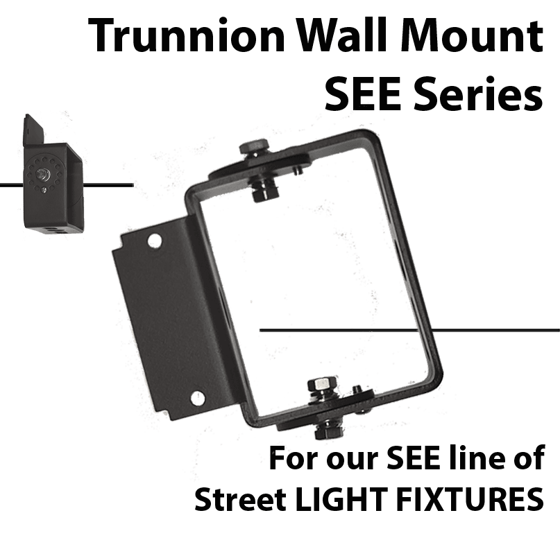 Mounting: Yoke mount arm for SEE series