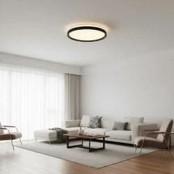 Ceiling_Trim_Black-Modern_Living