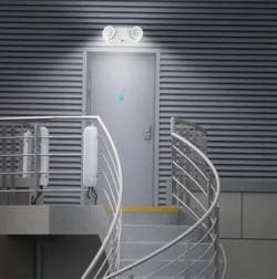 Emergency_Bug_Eye-Back_Doors