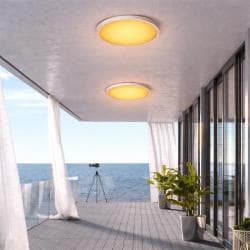 Flush_Mount_Turtle-Balcony