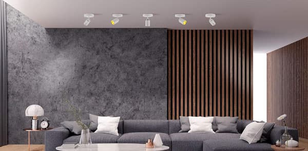 Spot_Light-Living_Rooms