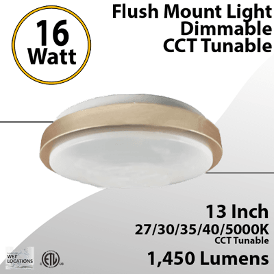 Gold LED Ceiling Light for Bedroom & Kitchen 13'' 27 30 40 45 5000K 16W